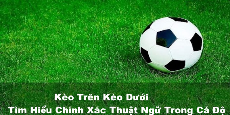 Kèo Trên Kèo Dưới - Tìm Hiểu Chính Xác Thuật Ngữ Trong Cá Độ