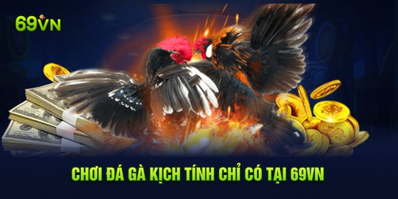 Chơi đá gà kịch tính chỉ có tại 69VN